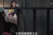 大竹子姑姑维姐爆料视频,揭秘娱乐圈不为人知的一面