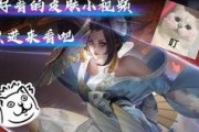 周群新皮肤爆料视频大全,视觉盛宴，尽享角色魅力